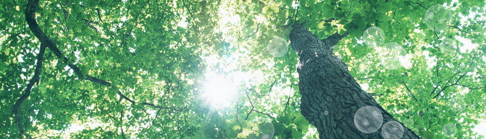 ヘッダーイメージ